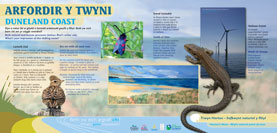 Duneland Panel, Horton's Nose, Rhyl